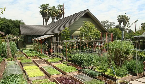 Urban Garden Produces 7000 Pounds of Organic Food Per Year on a Tenth of an Acre